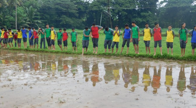 Science Club Activity: